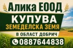 Алика ЕООД купува земеделска земя в област Добрич