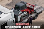 Събаряне на дървета и храсти по бърз и евтин начин - разчистване